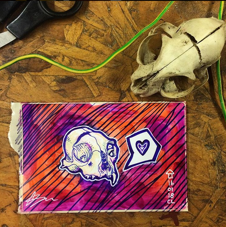 charlottelodgeillustration