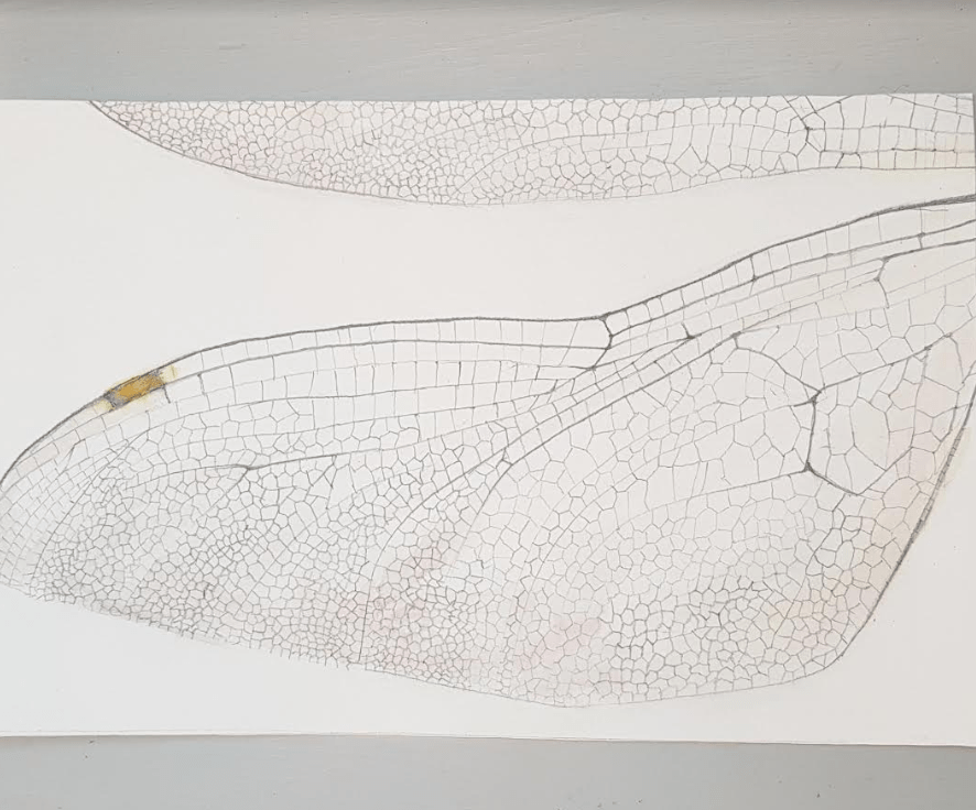 screenshot 2019-01-18 at 8.01.53 am