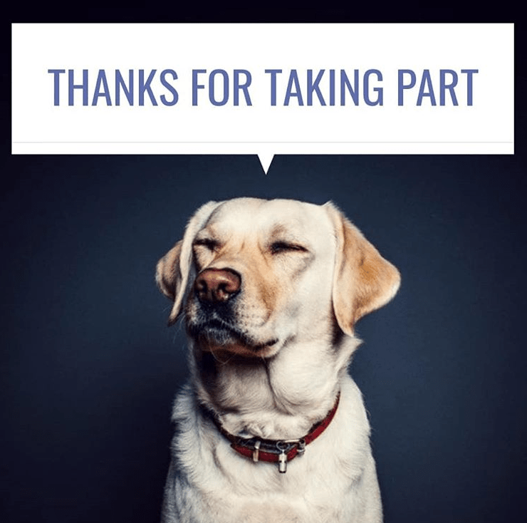 Screenshot 2019-02-04 at 12.11.21 AM